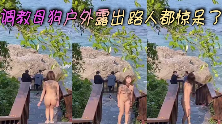调教母狗户外露出 路人都惊呆了